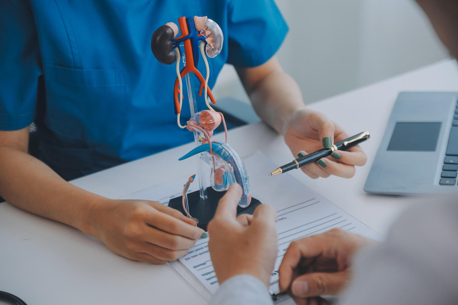 Urological Examination